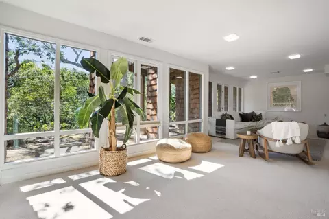 Living - 145 Marlin Ave, Mill Valley, CA 94941 photo 12 of 13