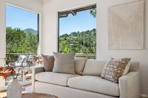 Living - 145 Marlin Ave, Mill Valley, CA 94941 photo 9 of 13