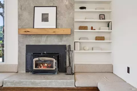 Living - 145 Marlin Ave, Mill Valley, CA 94941 photo 4 of 13