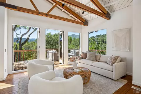 Living - 145 Marlin Ave, Mill Valley, CA 94941 photo 8 of 13