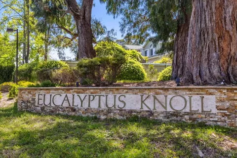 View/Area - 58 Eucalyptus Knoll St, Mill Valley, CA 94941 photo 4 of 4