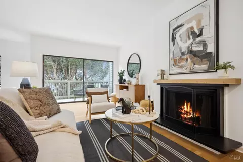Living - 58 Eucalyptus Knoll St, Mill Valley, CA 94941 photo 1 of 6