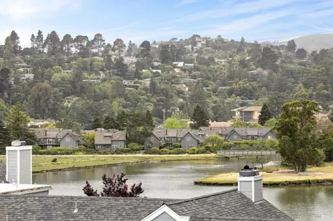 View/Area - 58 Eucalyptus Knoll St, Mill Valley, CA 94941 photo 1 of 4