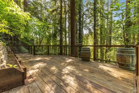 11010 Summerhome Park Rd, Forestville, CA 95436