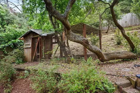 559 Marin Ave, Mill Valley, CA 94941 photo 36