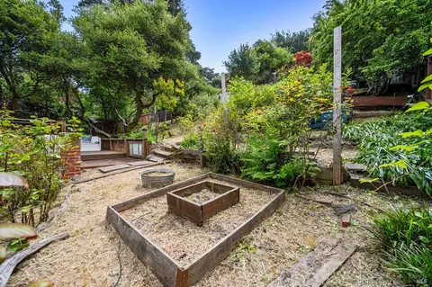 559 Marin Ave, Mill Valley, CA 94941 photo 37