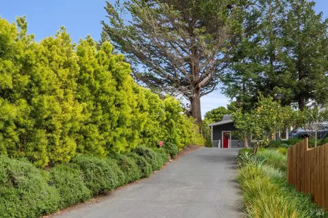 Exterior - 475 Molino Ave, Mill Valley, CA 94941 photo 18 of 21