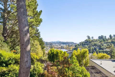 Other - 475 Molino Ave, Mill Valley, CA 94941 photo 5 of 17