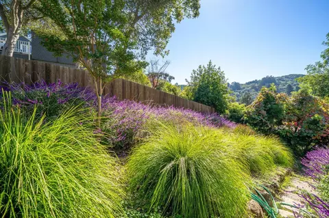 Exterior - 475 Molino Ave, Mill Valley, CA 94941 photo 14 of 21