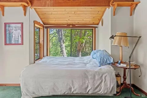 34000 Shimmins Ridge Rd, Willits, CA 95490 photo 15