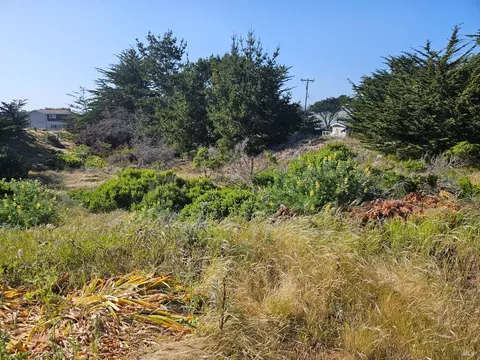 315 Driftwood Ave, Bodega Bay, CA 94923