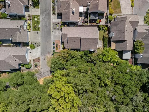 704 Mills Brothers Ct, Windsor, CA 95492 photo 34