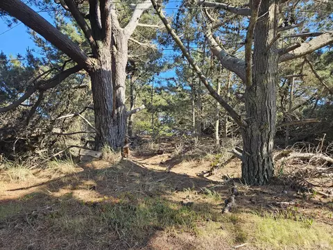 340 Driftwood Ave, Bodega Bay, CA 94923