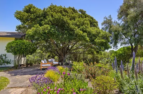 Exterior - 100 Rolling Hills Rd, Tiburon, CA 94920 photo 14 of 20