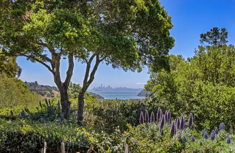 View/Area - 100 Rolling Hills Rd, Tiburon, CA 94920 photo 6 of 6