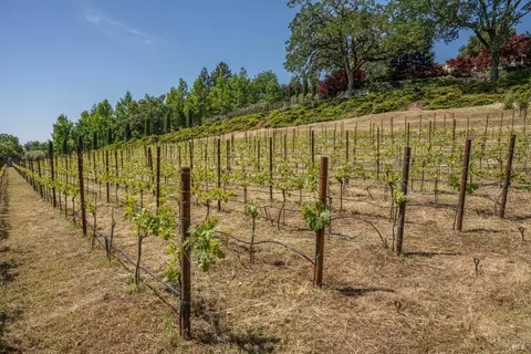 Other - 175 4th St E, Sonoma, CA 95476 photo 7 of 8