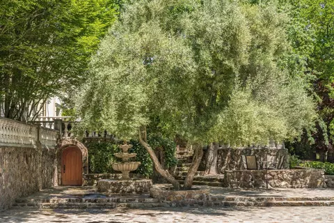 Exterior - 175 4th St E, Sonoma, CA 95476 photo 4 of 19