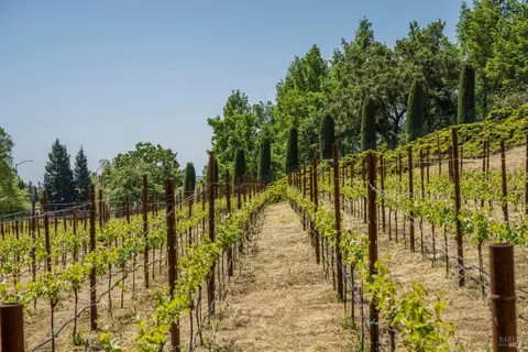 Other - 175 4th St E, Sonoma, CA 95476 photo 1 of 8