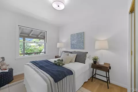 230 Elm Ave, Mill Valley, CA 94941 photo 24