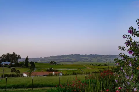 Other - 1568 Old Adobe Rd, Petaluma, CA 94954 photo 7 of 14