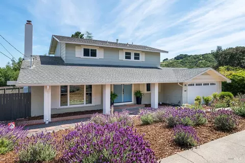 62 Maplewood Dr, San Rafael, CA 94901