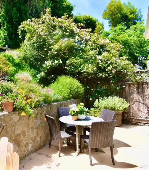 Exterior - 81 Cazneau Ave, Sausalito, CA 94965 photo 10 of 24
