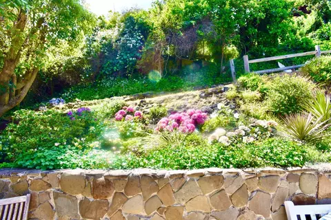 Exterior - 81 Cazneau Ave, Sausalito, CA 94965 photo 15 of 24