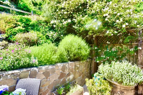 Exterior - 81 Cazneau Ave, Sausalito, CA 94965 photo 12 of 24