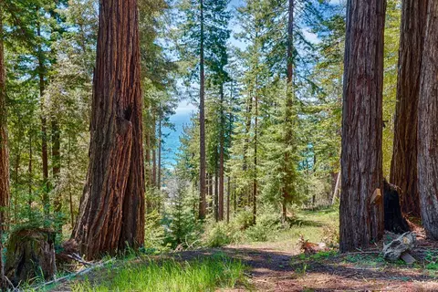 22196 Umland Cir, Jenner, CA 95450