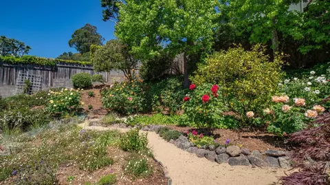 135 Kipling Dr, Mill Valley, CA 94941 photo 25