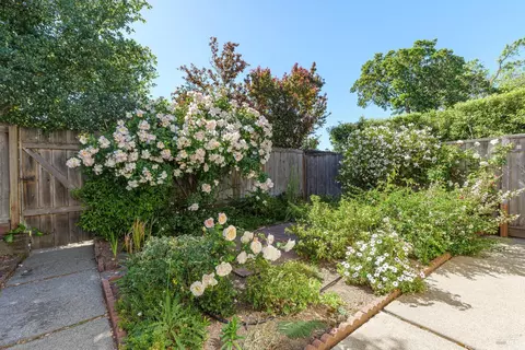 22 Echo Ave, Corte Madera, CA 94925 photo 26