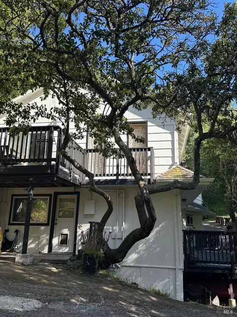 704 Cabin Dr, Mill Valley, CA 94941 photo 2