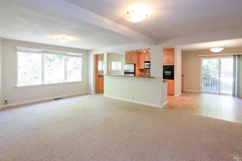 704 Cabin Dr, Mill Valley, CA 94941 photo 8