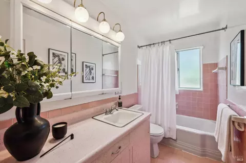 44 Plaza Dr, Mill Valley, CA 94941 photo 16