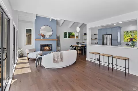 Other - 308 Sheffield Ave, Mill Valley, CA 94941 photo 3 of 13