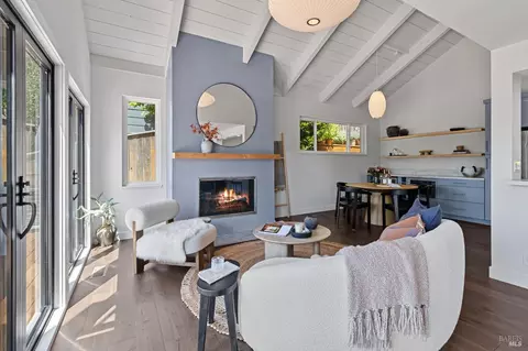 Living - 308 Sheffield Ave, Mill Valley, CA 94941 photo 3 of 5