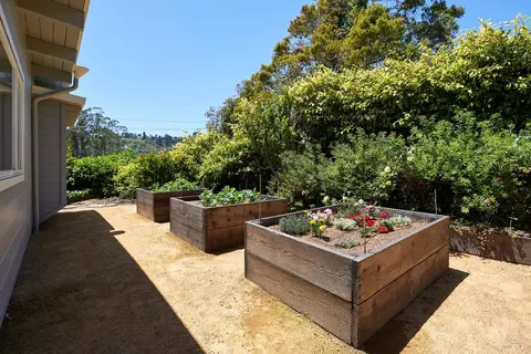 64 Edgewood Ave, Mill Valley, CA 94941 photo 24