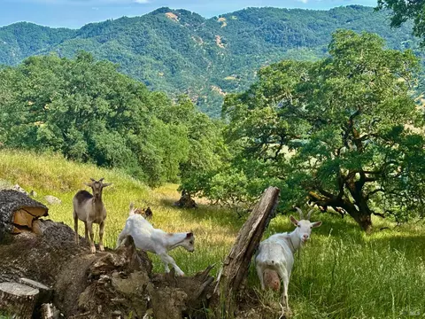 Other - 2371 Mcnab Ranch Rd, Ukiah, CA 95482 photo 15 of 58