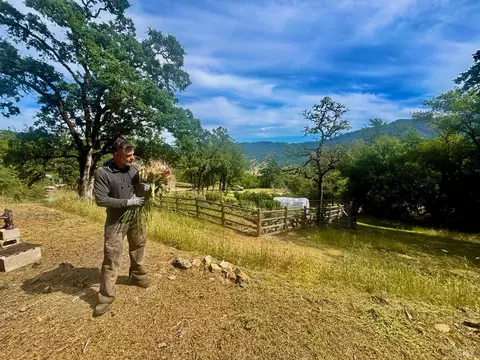 Other - 2371 Mcnab Ranch Rd, Ukiah, CA 95482 photo 12 of 58