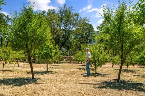 Other - 2371 Mcnab Ranch Rd, Ukiah, CA 95482 photo 58 of 58