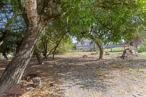 4335 Bodega Ave, Petaluma, CA 94952 photo 47
