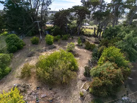 4335 Bodega Ave, Petaluma, CA 94952 photo 59