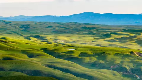 8050 Bitterwater Rd, Shandon, CA 93461