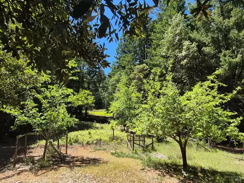 Exterior - 11903 Branscomb Rd, Branscomb, CA 95417 photo 23 of 50