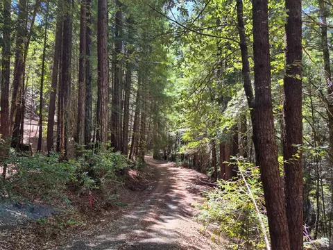 Other - 11903 Branscomb Rd, Branscomb, CA 95417 photo 9 of 10