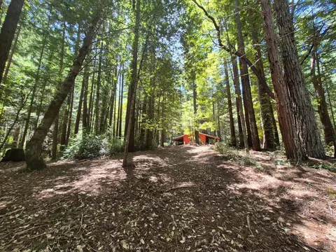 Exterior - 11903 Branscomb Rd, Branscomb, CA 95417 photo 20 of 50