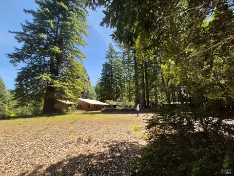 Exterior - 11903 Branscomb Rd, Branscomb, CA 95417 photo 4 of 50