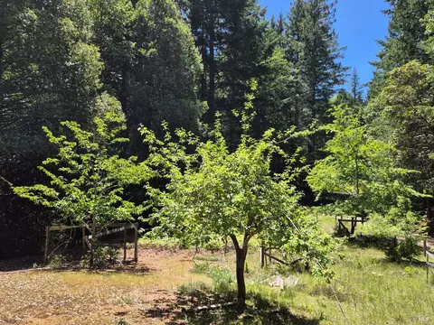 Exterior - 11903 Branscomb Rd, Branscomb, CA 95417 photo 22 of 50