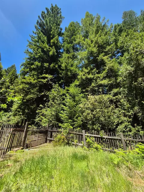Exterior - 11903 Branscomb Rd, Branscomb, CA 95417 photo 32 of 50