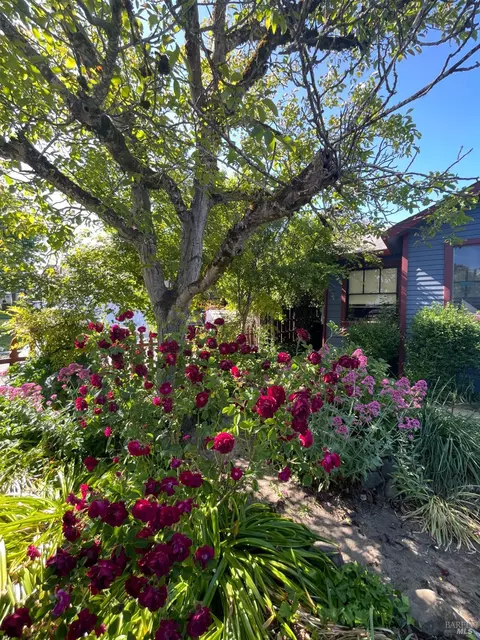458 E San Francisco Ave, Willits, CA 95490 photo 63